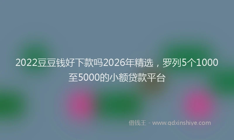 2022豆豆钱好下款吗2026年精选，罗列5个1000至5000的小额贷款平台