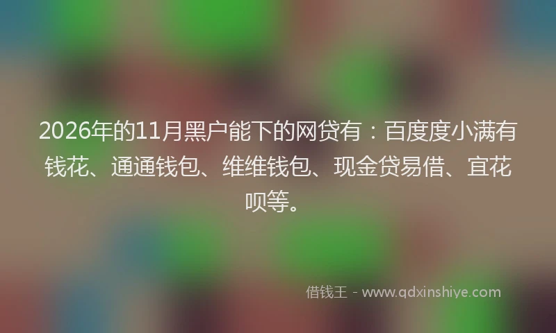 2026年的11月黑户能下的网贷有：百度度小满有钱花、通通钱包、维维钱包、现金贷易借、宜花呗等。
