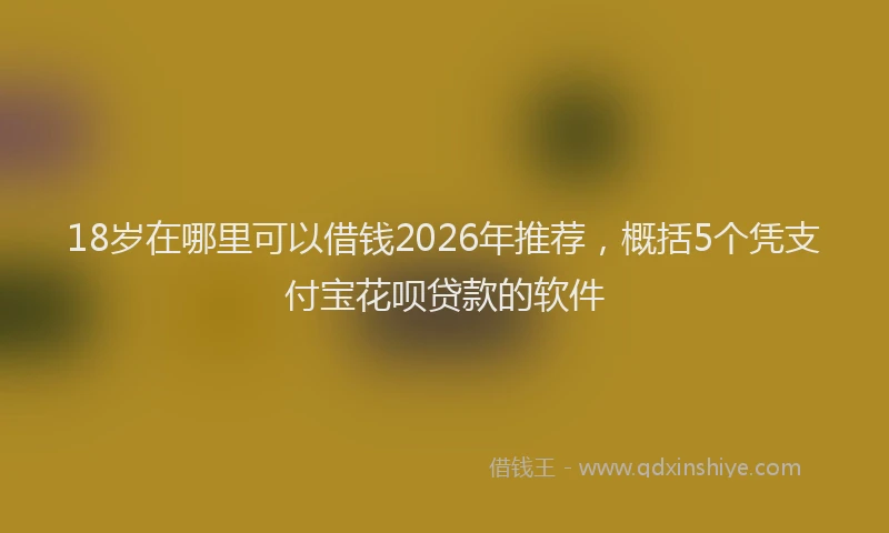 18岁在哪里可以借钱2026年推荐，概括5个凭支付宝花呗贷款的软件