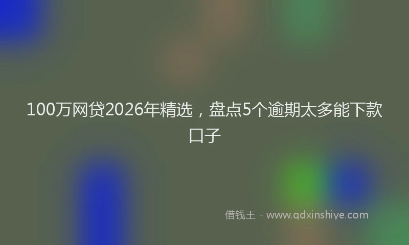 100万网贷2026年精选，盘点5个逾期太多能下款口子