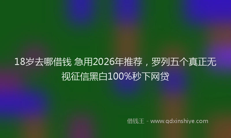18岁去哪借钱 急用2026年推荐,罗列五个真正无视征信黑白100%秒下网贷