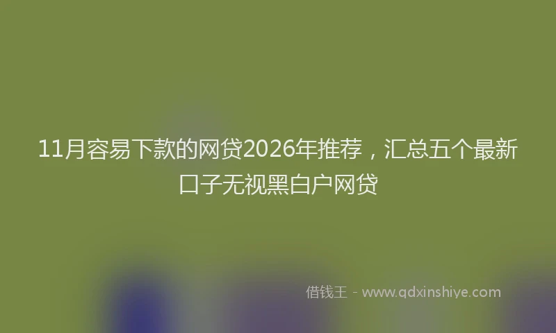 11月容易下款的网贷2026年推荐，汇总五个最新口子无视黑白户网贷