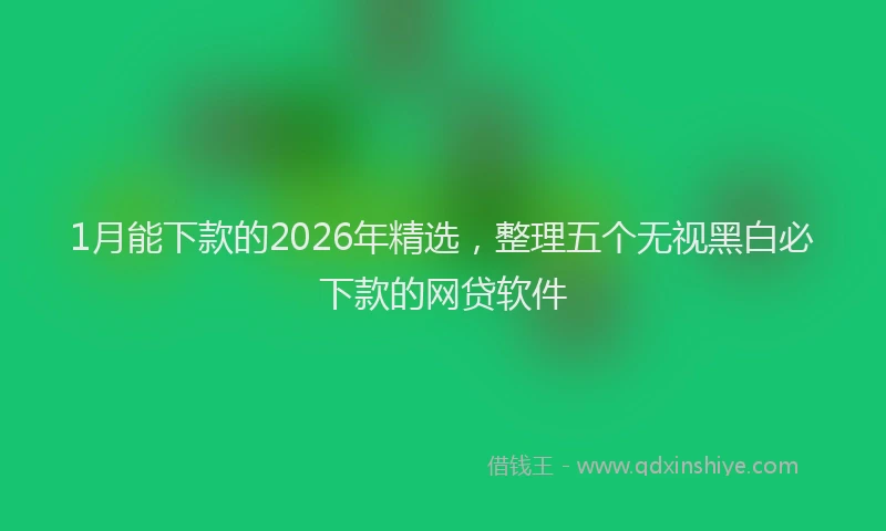 1月能下款的2026年精选，整理五个无视黑白必下款的网贷软件