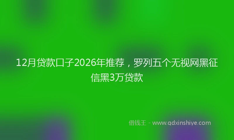 12月贷款口子2026年推荐，罗列五个无视网黑征信黑3万贷款