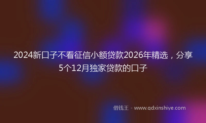2024新口子不看征信小额贷款2026年精选，分享5个12月独家贷款的口子