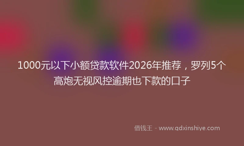 1000元以下小额贷款软件2026年推荐，罗列5个高炮无视风控逾期也下款的口子