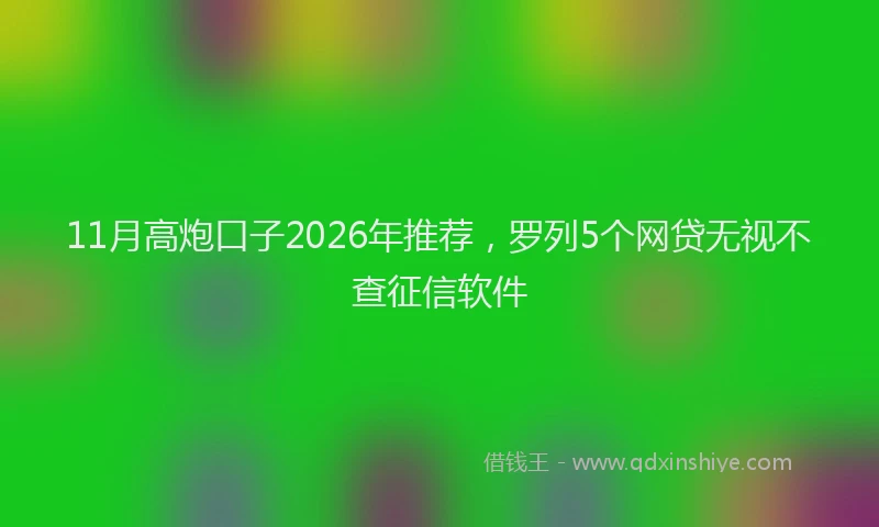 11月高炮口子2026年推荐，罗列5个网贷无视不查征信软件