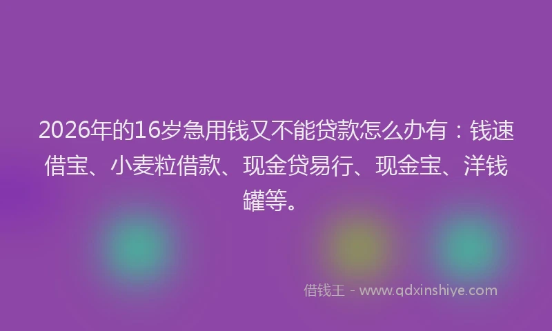 2026年的16岁急用钱又不能贷款怎么办有：钱速借宝、小麦粒借款、现金贷易行、现金宝、洋钱罐等。
