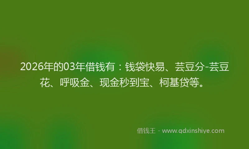 2026年的03年借钱有：钱袋快易、芸豆分-芸豆花、呼吸金、现金秒到宝、柯基贷等。