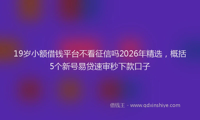 19岁小额借钱平台不看征信吗2026年精选，概括5个新号易贷速审秒下款口子