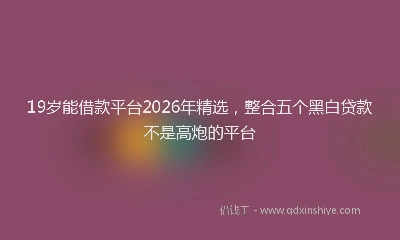 19岁能借款平台2026年精选,整合五个黑白贷款不是高炮的平台