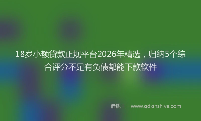 18岁小额贷款正规平台2026年精选，归纳5个综合评分不足有负债都能下款软件