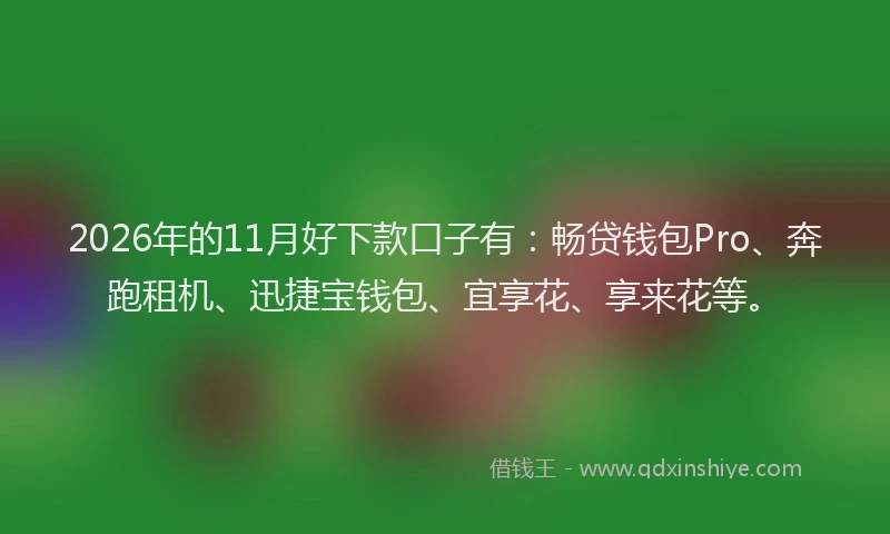 2026年的11月好下款口子有：畅贷钱包Pro、奔跑租机、迅捷宝钱包、宜享花、享来花等。