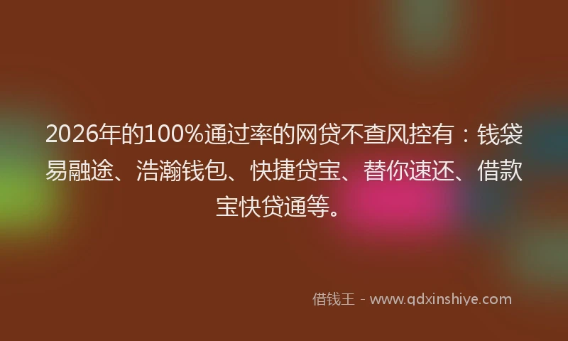 2026年的100%通过率的网贷不查风控有:钱袋易融途、浩瀚钱包、快捷贷宝、替你速还、借款宝快贷通等。