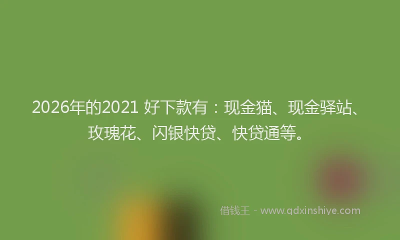 2026年的2021 好下款有：现金猫、现金驿站、玫瑰花、闪银快贷、快贷通等。