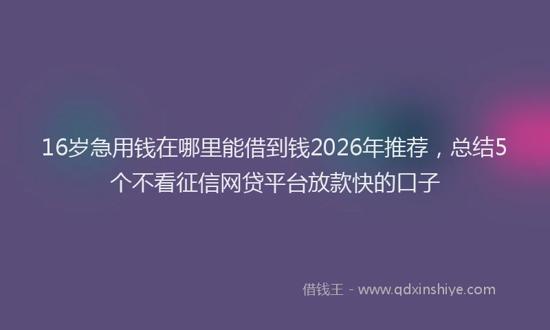 16岁急用钱在哪里能借到钱2026年推荐，总结5个不看征信网贷平台放款快的口子