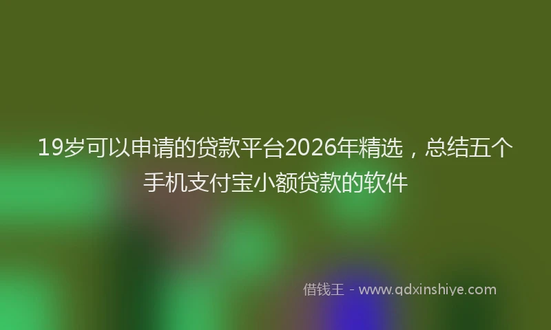 19岁可以申请的贷款平台2026年精选，总结五个手机支付宝小额贷款的软件