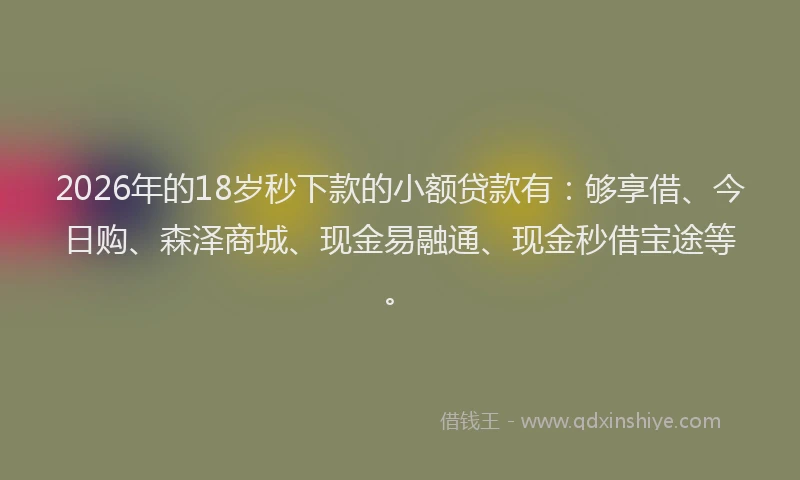 2026年的18岁秒下款的小额贷款有：够享借、今日购、森泽商城、现金易融通、现金秒借宝途等。