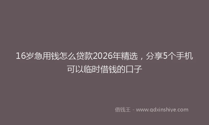 16岁急用钱怎么贷款2026年精选，分享5个手机可以临时借钱的口子
