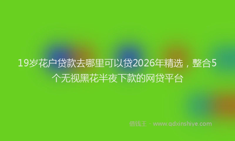 19岁花户贷款去哪里可以贷2026年精选，整合5个无视黑花半夜下款的网贷平台