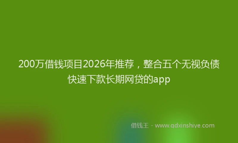 200万借钱项目2026年推荐，整合五个无视负债快速下款长期网贷的app