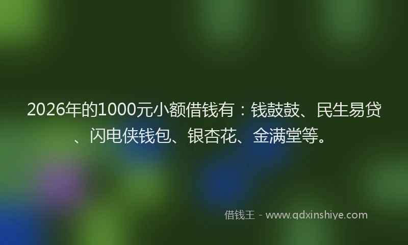 2026年的1000元小额借钱有:钱鼓鼓、民生易贷、闪电侠钱包、银杏花、金满堂等。
