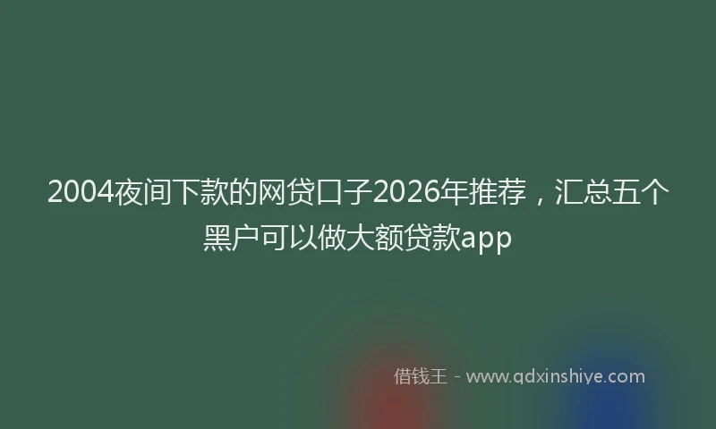 2004夜间下款的网贷口子2026年推荐，汇总五个黑户可以做大额贷款app