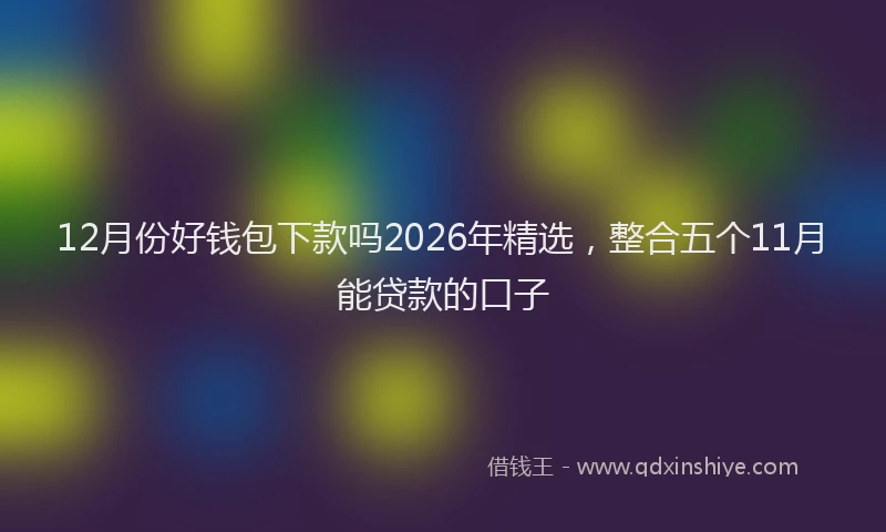 12月份好钱包下款吗2026年精选，整合五个11月能贷款的口子