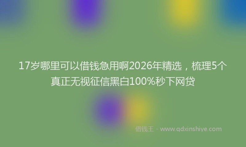 17岁哪里可以借钱急用啊2026年精选，梳理5个真正无视征信黑白100%秒下网贷