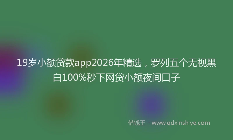 19岁小额贷款app2026年精选，罗列五个无视黑白100%秒下网贷小额夜间口子