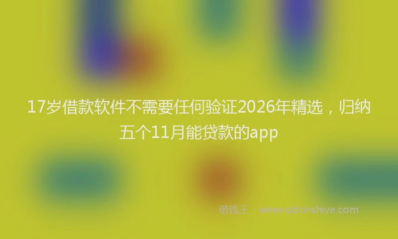 17岁借款软件不需要任何验证2026年精选，归纳五个11月能贷款的app