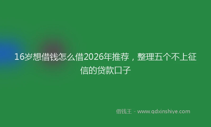 16岁想借钱怎么借2026年推荐,整理五个不上征信的贷款口子