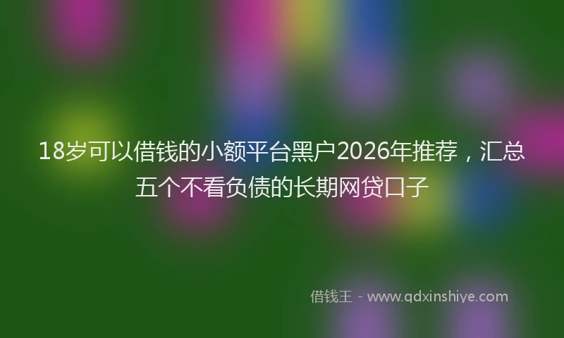 18岁可以借钱的小额平台黑户2026年推荐，汇总五个不看负债的长期网贷口子