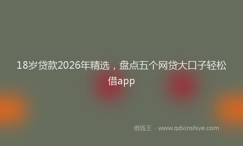 18岁贷款2026年精选,盘点五个网贷大口子轻松借app