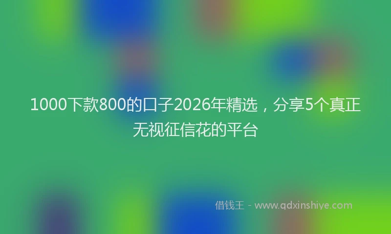 1000下款800的口子2026年精选，分享5个真正无视征信花的平台