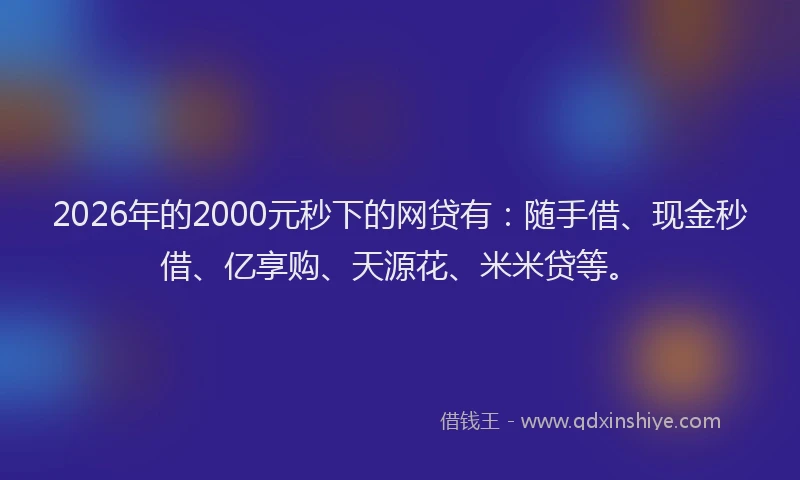 2026年的2000元秒下的网贷有：随手借、现金秒借、亿享购、天源花、米米贷等。