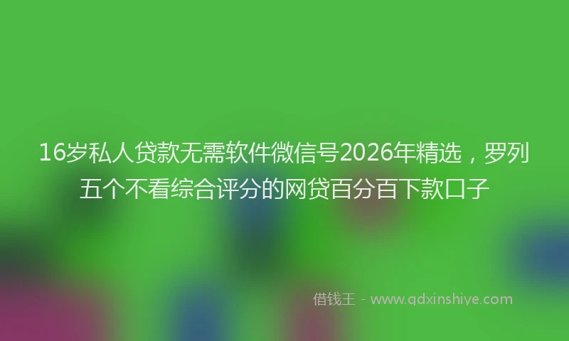 16岁私人贷款无需软件微信号2026年精选，罗列五个不看综合评分的网贷百分百下款口子
