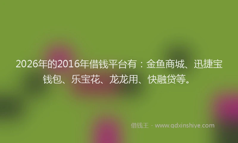2026年的2016年借钱平台有:金鱼商城、迅捷宝钱包、乐宝花、龙龙用、快融贷等。