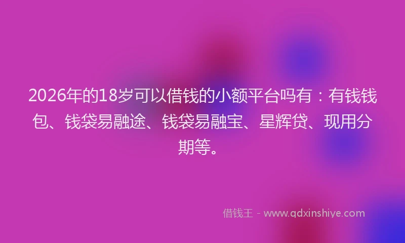 2026年的18岁可以借钱的小额平台吗有：有钱钱包、钱袋易融途、钱袋易融宝、星辉贷、现用分期等。