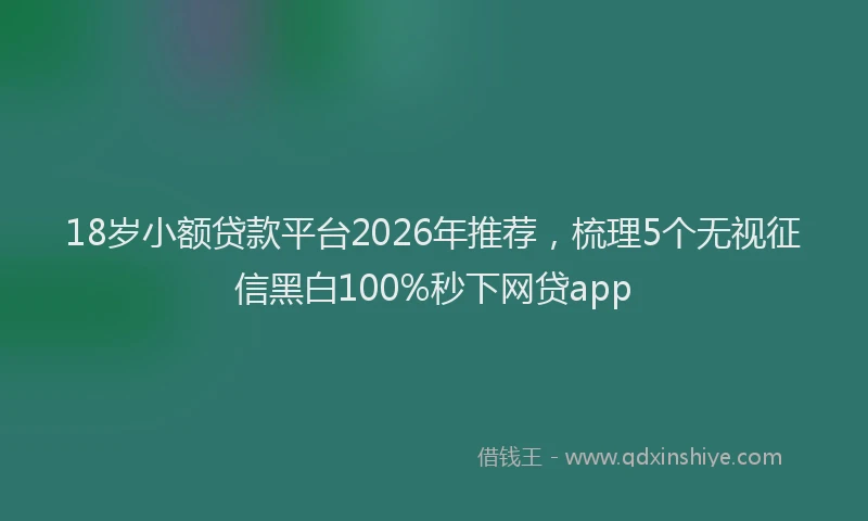 18岁小额贷款平台2026年推荐，梳理5个无视征信黑白100%秒下网贷app