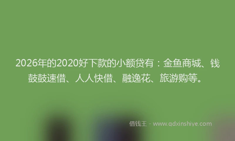2026年的2020好下款的小额贷有:金鱼商城、钱鼓鼓速借、人人快借、融逸花、旅游购等。