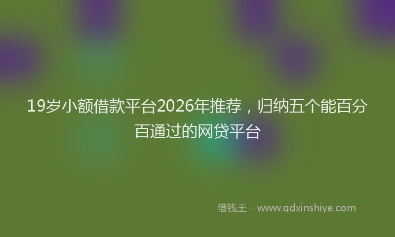 19岁小额借款平台2026年推荐，归纳五个能百分百通过的网贷平台