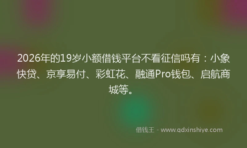 2026年的19岁小额借钱平台不看征信吗有:小象快贷、京享易付、彩虹花、融通Pro钱包、启航商城等。