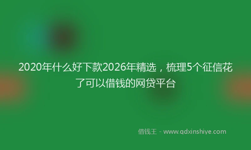 2020年什么好下款2026年精选,梳理5个征信花了可以借钱的网贷平台