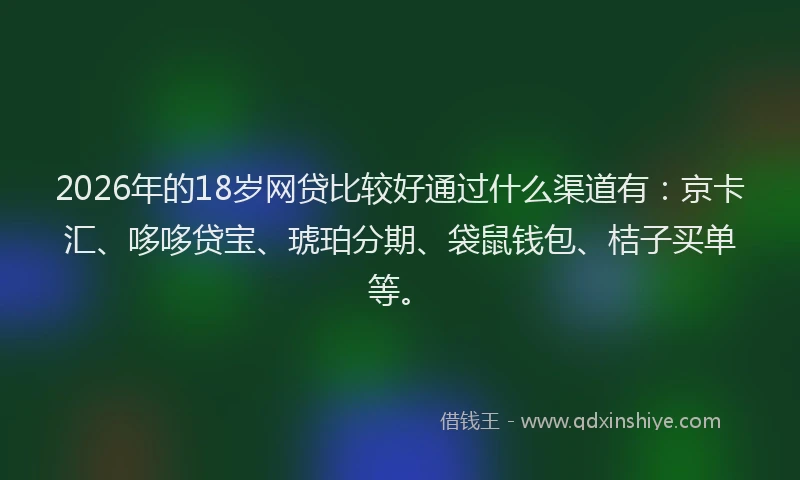 2026年的18岁网贷比较好通过什么渠道有:京卡汇、哆哆贷宝、琥珀分期、袋鼠钱包、桔子买单等。