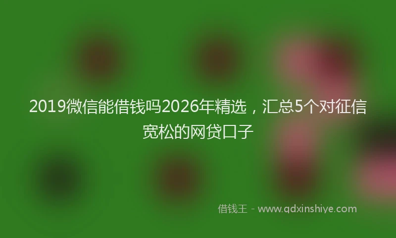 2019微信能借钱吗2026年精选,汇总5个对征信宽松的网贷口子