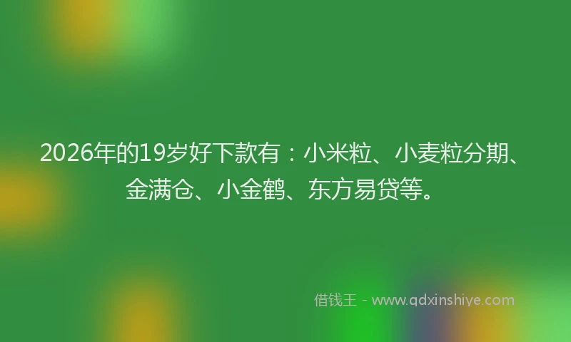 2026年的19岁好下款有:小米粒、小麦粒分期、金满仓、小金鹤、东方易贷等。