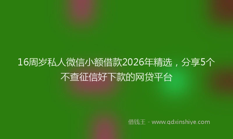 16周岁私人微信小额借款2026年精选，分享5个不查征信好下款的网贷平台