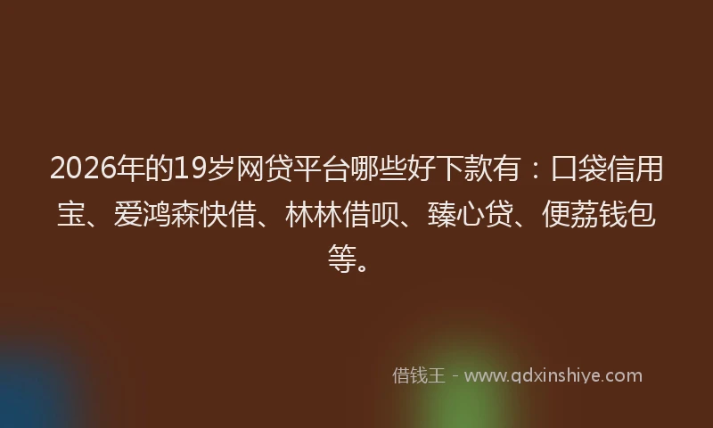 2026年的19岁网贷平台哪些好下款有:口袋信用宝、爱鸿森快借、林林借呗、臻心贷、便荔钱包等。