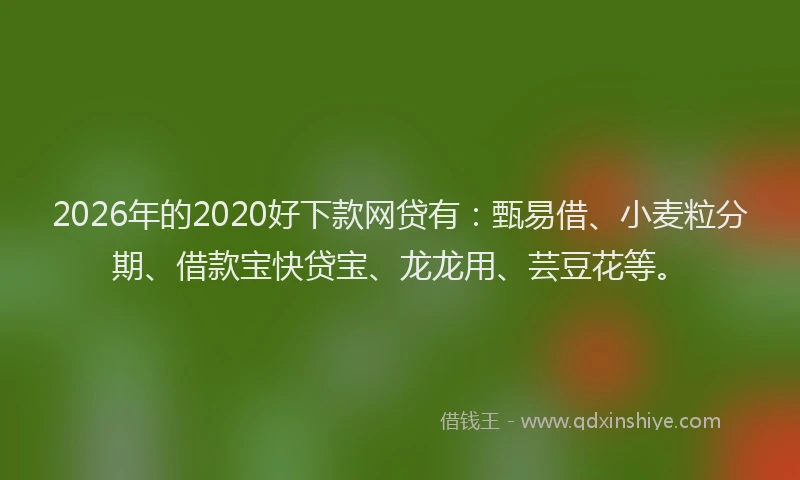 2026年的2020好下款网贷有:甄易借、小麦粒分期、借款宝快贷宝、龙龙用、芸豆花等。